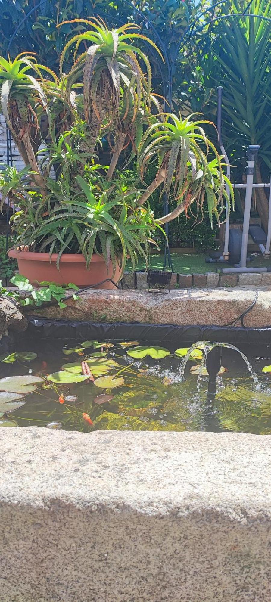 Ruby Charm Houses 2 Al Villa Porto Ngoại thất bức ảnh